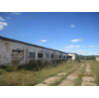Здание свинарника №1 1 этажный общая площадь 967 10 кв м 
Здание кормоцеха 1 этажный общая площадь 452 4 кв м 
Здание свинарника № 7 1 этажный общая