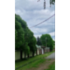 В рамках процедуры банкротства в отношении Кушнир Жанны Дмитриевны (дело № А56 14525/2022) на торгах посредством публичного предложения реализуется